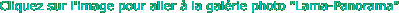 item11