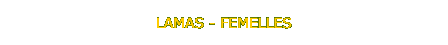 item11