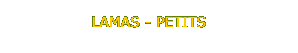 item13