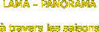 LAMA - PANORAMA