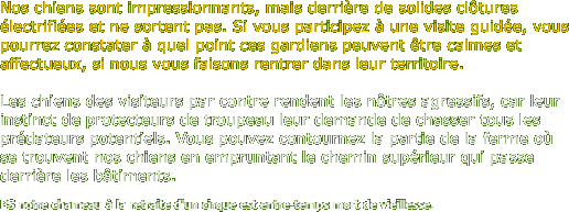 Nos chiens sont impressionnants, mais