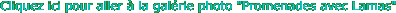 item8