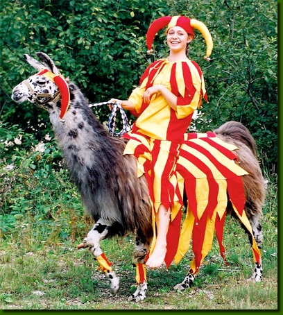 LamasVerkleidung002